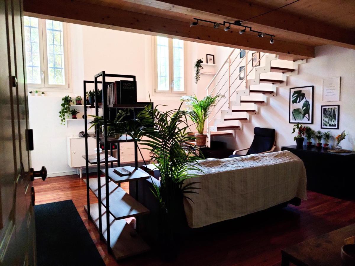 בולוניה Accogliente Loft In Palazzo Storico Centrale מראה חיצוני תמונה